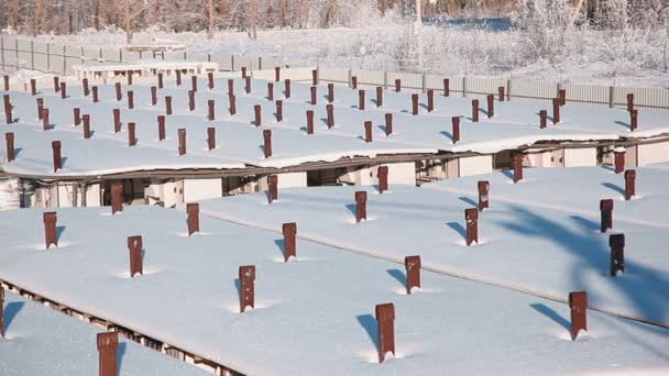 Taket kanin gård i vinter — Stockvideo