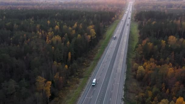 Πετώντας κατά μήκος του αυτοκινητόδρομου με αυτοκίνητα και φορτηγά κυκλοφορίας το φθινόπωρο δάσος. — Αρχείο Βίντεο