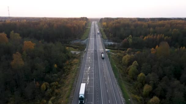 Letecký pohled v automobilech 4K projíždějících podzimním lesem přes řeku Videoklip