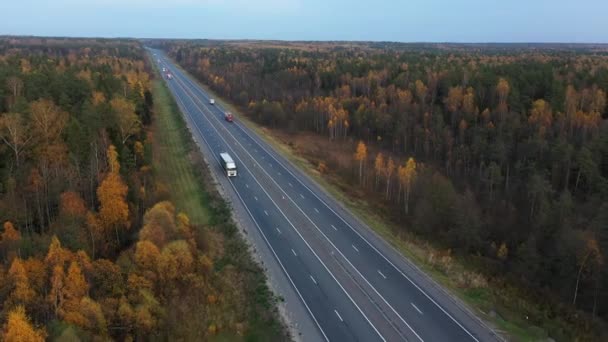 Letecký pohled na cestu mezi podzimními lesy na venkově. Stock Video