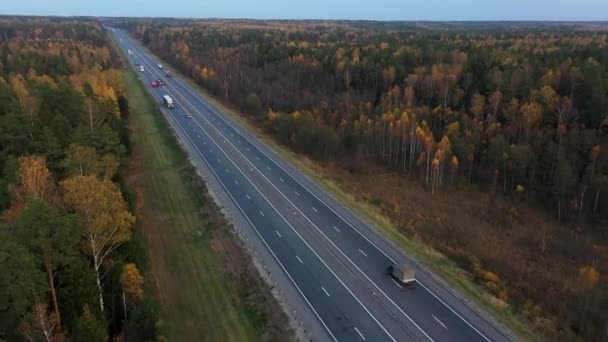 Widok z lotu ptaka nad drogą w lesie jesienią z samochodów osobowych i ciężarowych. — Wideo stockowe