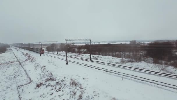 Aerial skott godståg med många vagnar — Stockvideo