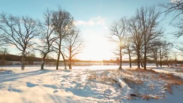 Aéreo - Paisagem nevada no inverno — Vídeo de Stock