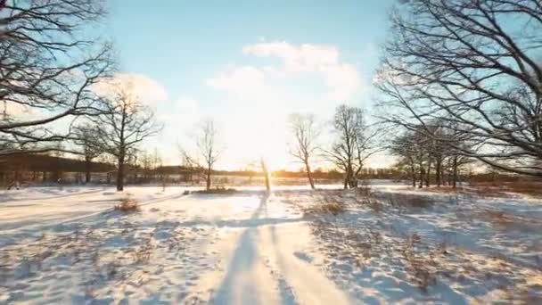 Letecký záběr zimní krajina — Stock video