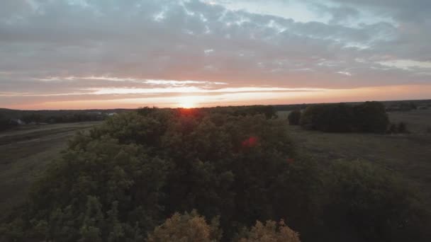 Вид с воздуха Сцена заката над зеленым полем — стоковое видео