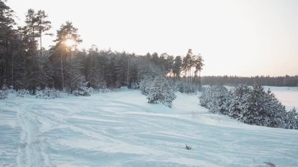 Moto de nieve en el hermoso paisaje de invierno — Vídeo de stock