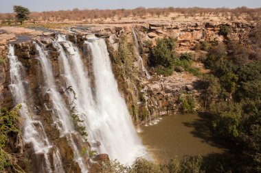 Şelale vahşi Hindistan