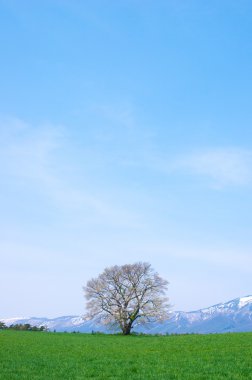 Koiwai çiftliği, morioka şehir, Iwate, Turizm Japonya