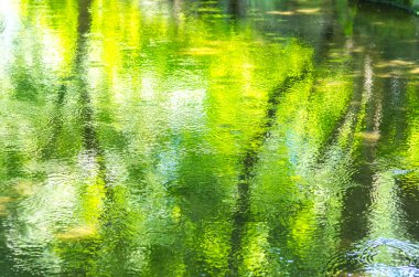 Yeşil su yüzeyi