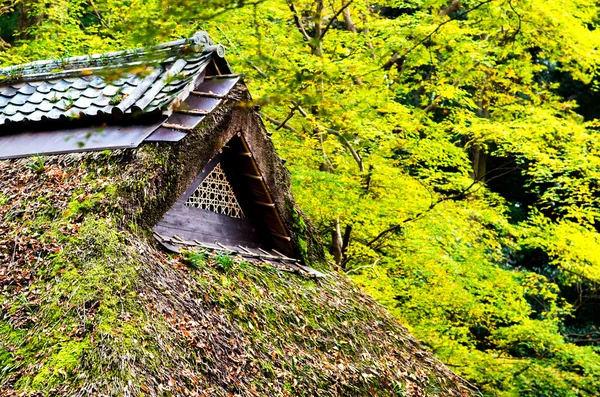 Japonské střechy starého lidového domu — Stock fotografie