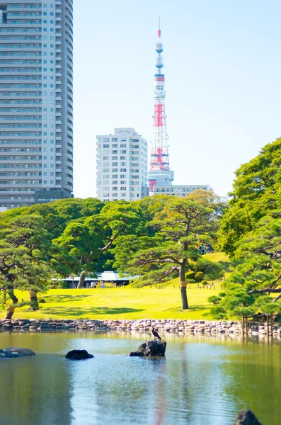 Hamarikyu Gardens, tokyo (prefectures), tourism of japan — стоковое фото