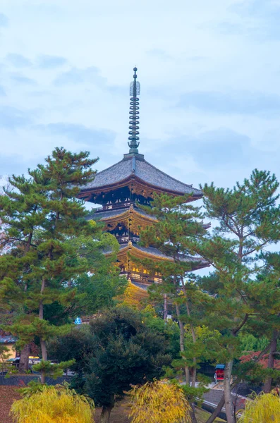 Kofukuji-Tempel, nara, nara (Präfekturen), Tourismus in Japan — Stockfoto