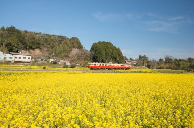 Kominato demiryolu, chiba (deprem), Turizm Japonya