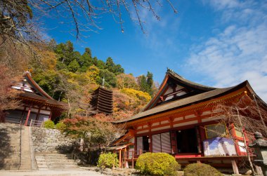 Tanzan Tapınak, nara (deprem), Japon geleneksel tapınak ve türbelerin