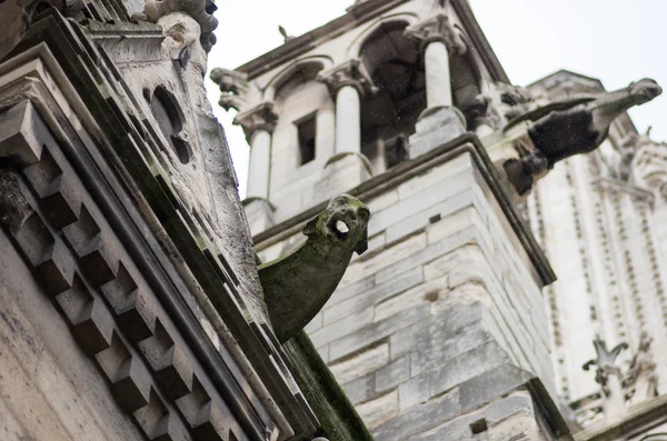 Chrlič, Paris, cestovní ruch, Francie — Stock fotografie