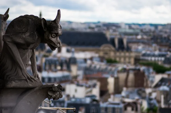 Gargoyle,Paris,tourism of France — Stock Photo, Image