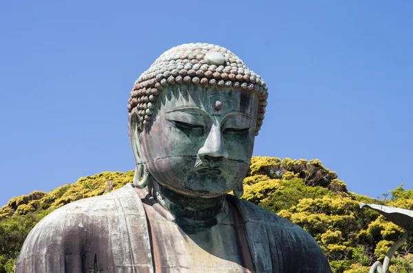 Kotokuin-templo, kamakura (prefecturas), templos y santuarios tradicionales japoneses — Foto de Stock