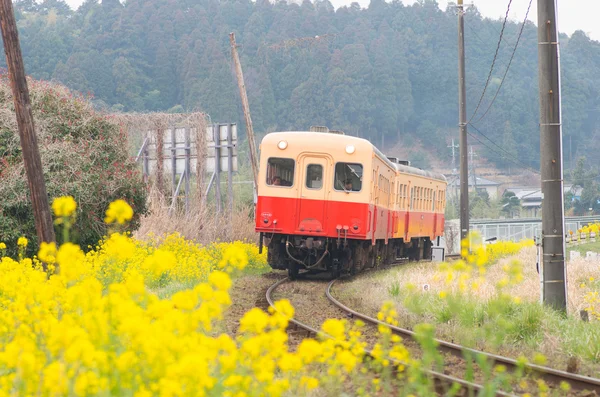 Kominato залізничний, Чіба (префектурах), туризм Японії — стокове фото