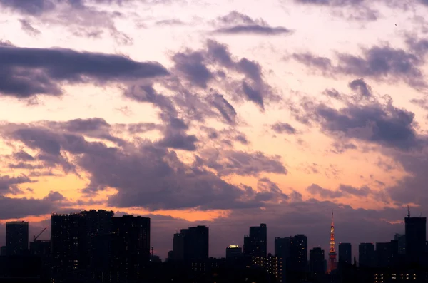 Токіо краєвид нічний погляд, Токіо (префектурах), туризм Японії — стокове фото