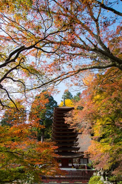 Tanzan chrám, nara (prefektury), japonské tradiční chrámy a svatyně — Stock fotografie