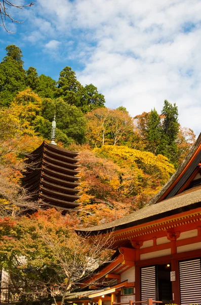 Temple tanzan, nara (préfectures), temples et sanctuaires traditionnels japonais — Photo