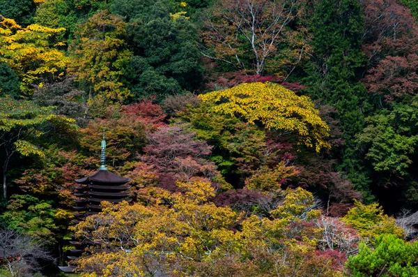 Tanzan chrám, nara (prefektury), japonské tradiční chrámy a svatyně — Stock fotografie