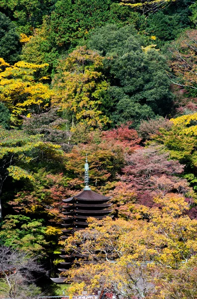 湛山寺、 奈良 (县)、 日本传统寺庙和神社 — 图库照片