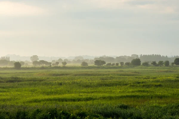 Watarase yusuichi, tochigi (prefetture), turismo del Giappone Foto Stock