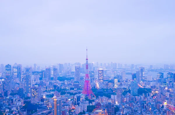 Tóquio vista para a cidade noturna, tokyo, turismo do japão — Fotografia de Stock