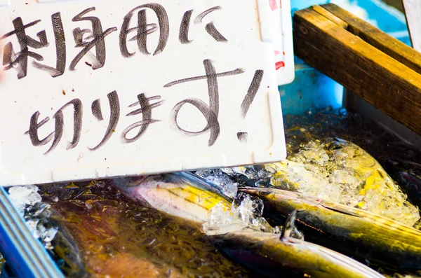 The japanese Fish market,japan — Stock Photo, Image