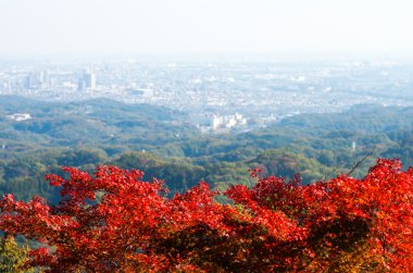 Takao dağ, tokyo, Japonya sonbahar