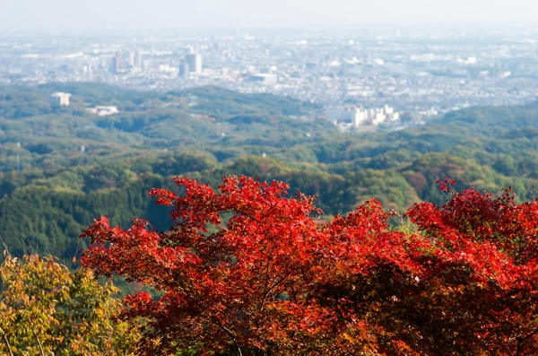 Takao dağ, tokyo, Japonya sonbahar