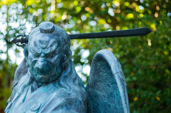 Braggart en la montaña Takao, Tokio, Japón — Foto de Stock