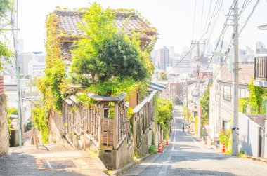 Fujimizaka yamaç, tokyo, Japonya