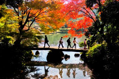 Rikugien Bahçe, tokyo, Japonya