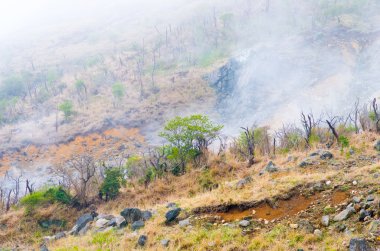 Hakone owakudani, kanagawa, Japonya