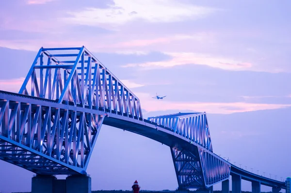 Tokyo gate híd, tokyo, Japán — Stock Fotó