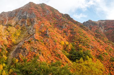 Japonya sonbaharın Mt.Nasu,tochigi,tourism