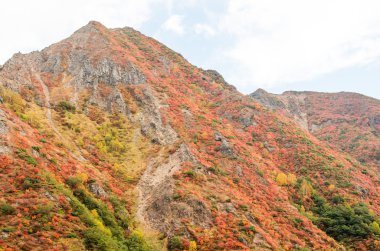 Japonya sonbaharın Mt.Nasu,tochigi,tourism