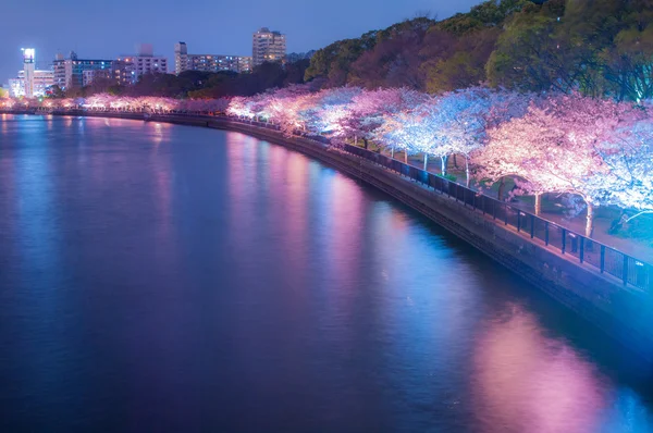 Sakura in tenmabashi, osaka, toerisme van japan — Stockfoto