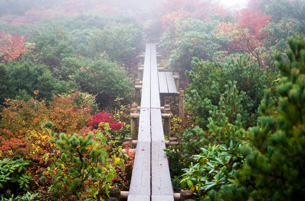 Mt.nasu, tochigi, Tourismus des japanischen Herbstes — Stockfoto