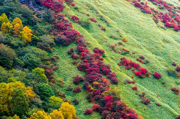 Mt.Nasu, tochigi, turismo do japão outono — Fotografia de Stock