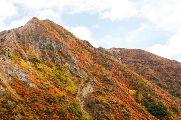 Mont Nasu, tochigi, tourisme d'automne japonais — Photo