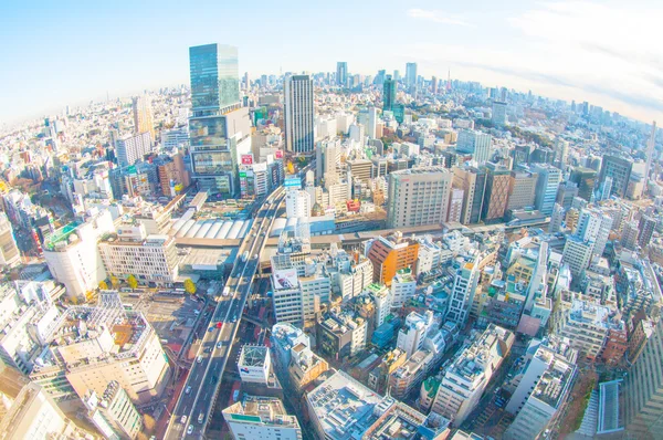 Tokyo shibuya skyview, Giappone — Foto Stock