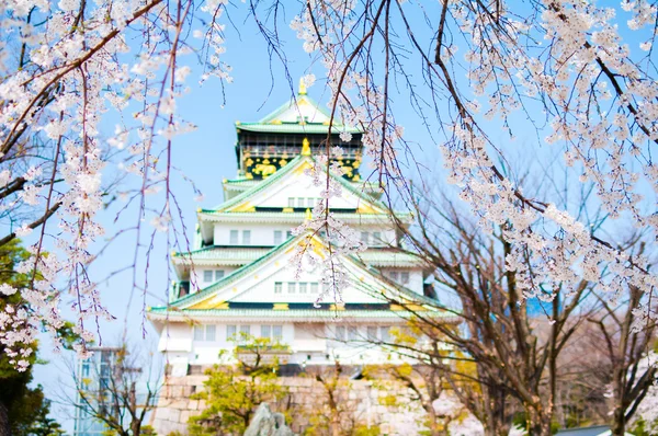 Osaka castle,osaka,japan — Stock Photo, Image