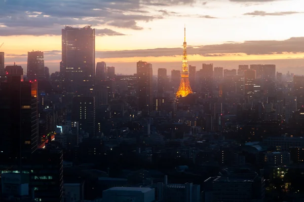 Torre de tokyo vista da manhã, tokyo, japão — Fotografia de Stock