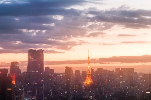 Tokyo kule sabah görünümü, tokyo, Japonya — Stok fotoğraf