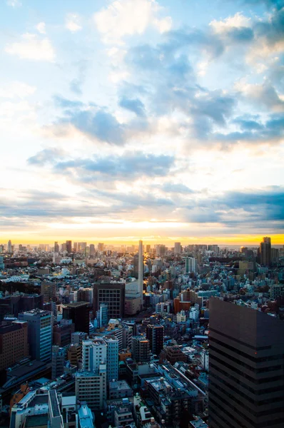 Tokyo città mattina crescere vista, giappone — Foto Stock