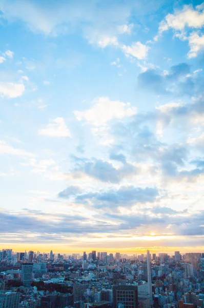 Rano miasta Tokio rosną widok, Japonia — Zdjęcie stockowe