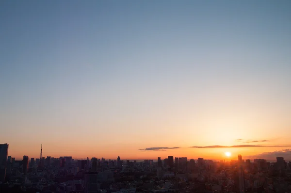 Tokyo şehir sabah büyümek görünümü, Japonya — Stok fotoğraf